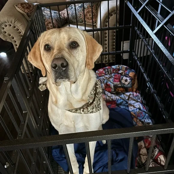 AMANDA is Live !! ππ This Flyer to Be Notified When I Go Live π¦π₯°π - Picture 8 of 14